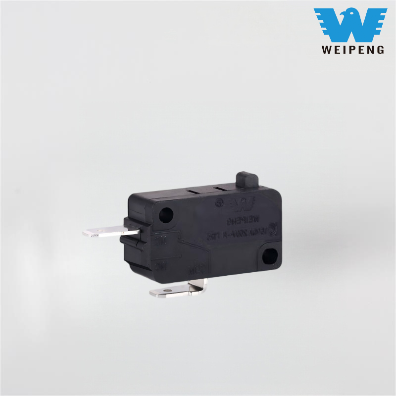 銀接点ディープフライヤーマイクロスイッチ