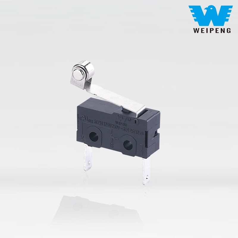 Weipeng 防塵 5A 2 ピン車充電パイルマイクロスイッチ